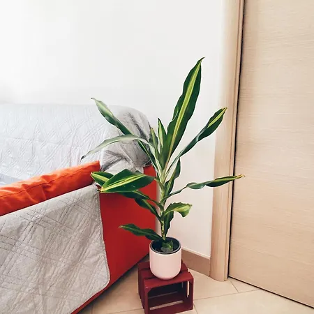 Apartamento In With Private Parking